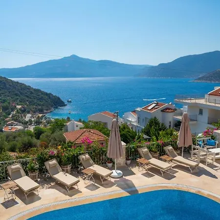 Buqqva * Kalkan
