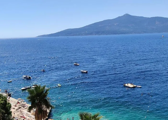 Buqqva * Καλκάν