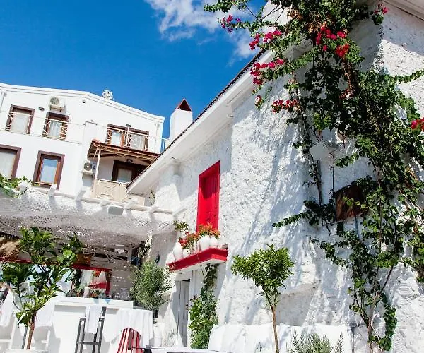 Buqqva Ξενοδοχείο *